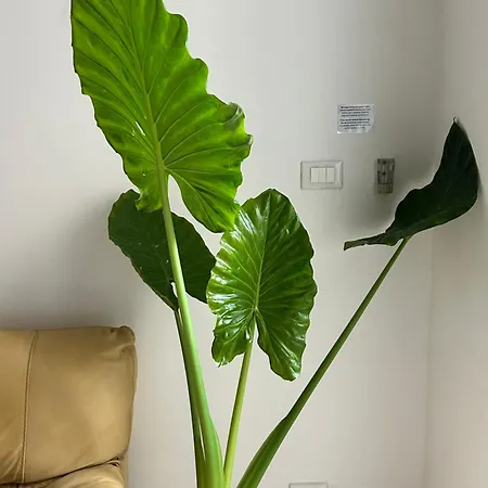 Apartment Residenza Civico 26