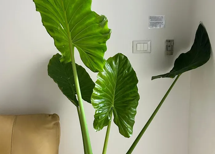 Appartement Residenza Civico 26